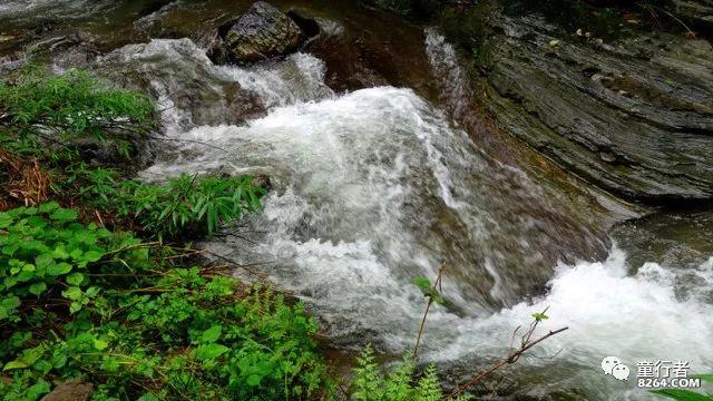 第三季《乐队风暴》全国总决赛圆满落幕